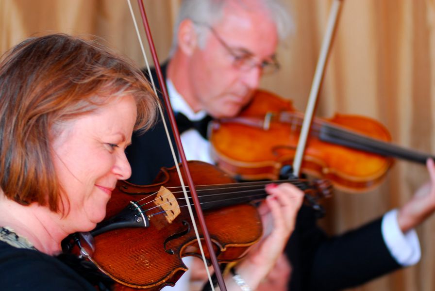 Violinist playing